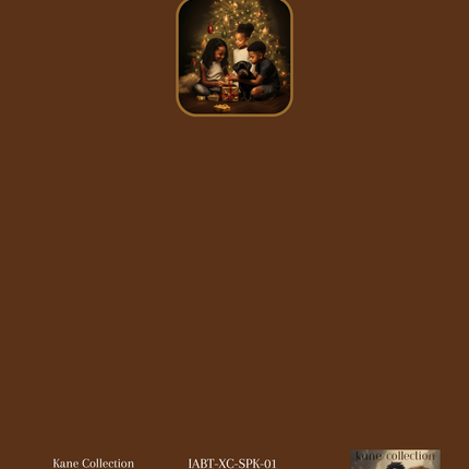 Sneaky Peeking - Christmas Cards
